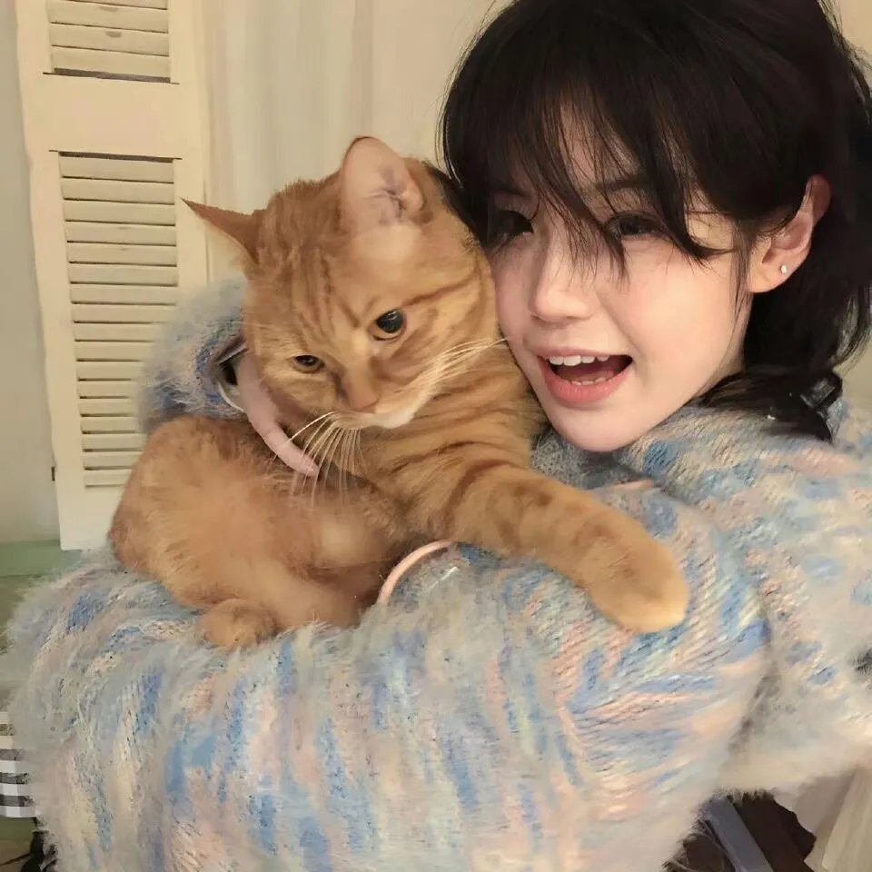 猪妖传